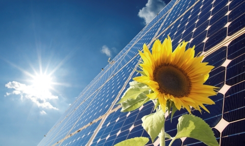 New solar cells could reduce cost of solar power by 75%