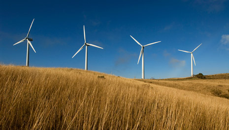 Wind energy in South Africa: Enel Green Power starts a 111 MW wind farm