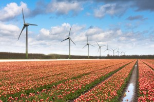 In 2017, renewable energy sources accounted for 6.6 percent of total Dutch energy consumption