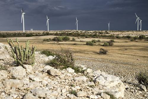Wind energy in Pakistan: HydroChina firm to set up 50MW wind farm