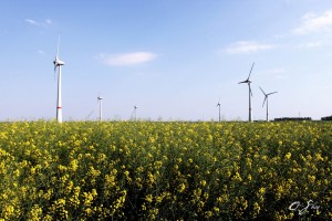 Belgian motorways to become wind energy corridors