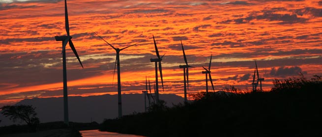 EDF Mexico commissions 164 MW wind farm