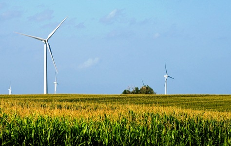 Ramboll announces preparing a sound basis for three new wind farms in Denmark