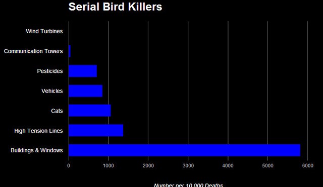 The Realities of Bird and Bat Deaths by Wind Turbines