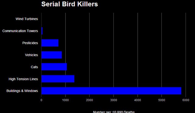 Birds and wind energy