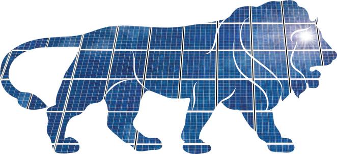Trina Solar to Supply 48 MW of Photovoltaic Solar Power Modules to ACME India