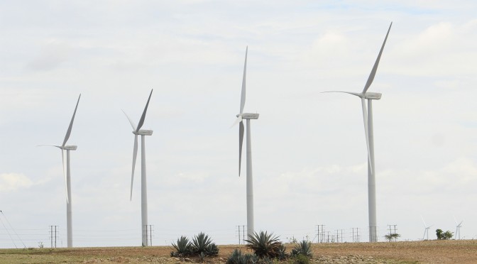 Wind energy in India: Gamesa wind turbines supplied 260 MW to the wind power market