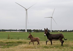 Wind Power Is Poised to Spread to All States