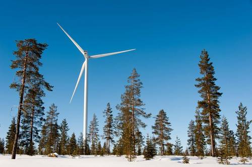 Google buys into new Finnish wind energy in renewables search