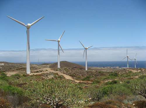 Wind energy in the Canary Islands, Naturgy lays the first stone of the Puerto del Rosario Wind Farm, the largest in Fuerteventura