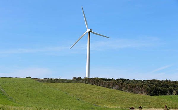 Wind energy in Tunisia, major wind farm as part of renewable energy plan
