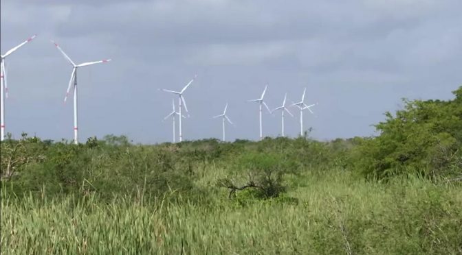 Wind power in Yucatán, the “Progreso” Wind Farm was inaugurated