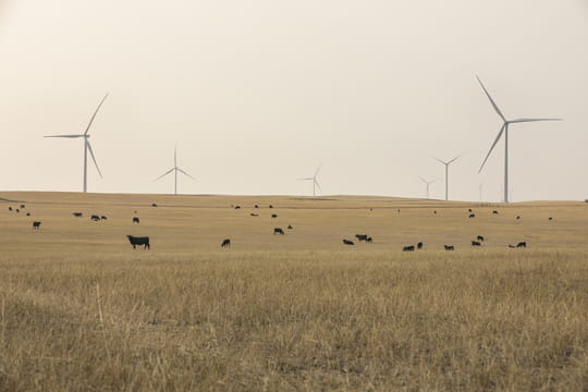 Ørsted completes Willow Creek Wind Farm and takes final investment decision on Western Trail Wind Energy