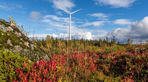 Wind power in Sweden, Siemens Gamesa 5.X wind turbines