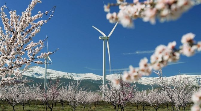 Iberdrola starts a 79 MW wind energy complex between Malaga and Seville, in Andalusia