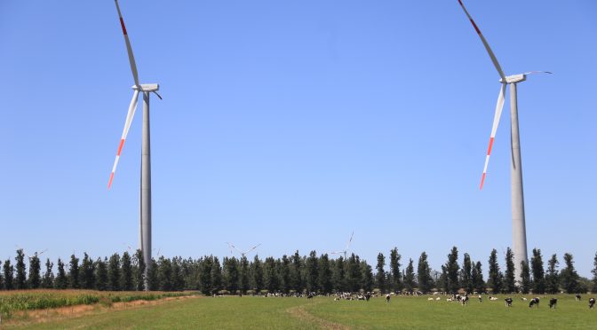 Acciona enters the wind power of Brazil