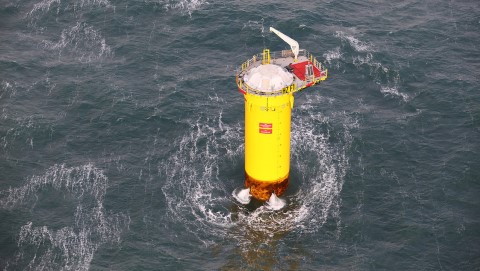 Offshore wind power creates a new home for marine life