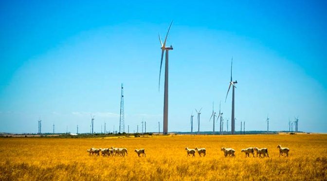 Iberdrola increases its wind power and solar capacity by 3,150 MW to almost 39,000 MW worldwide