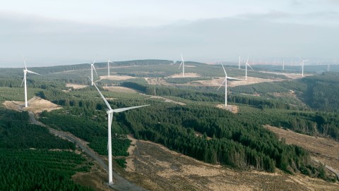 Environmental Impact of Wind Power