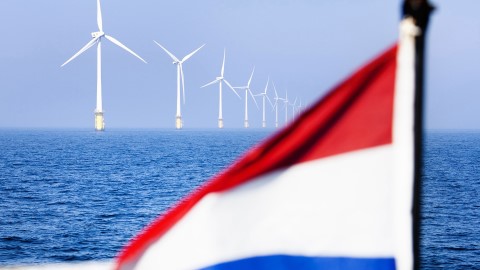 Wind power and biodiversity come together at Hollandse Kust West offshore wind farm
