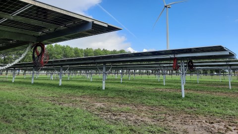Dutch project to combine solar and farming