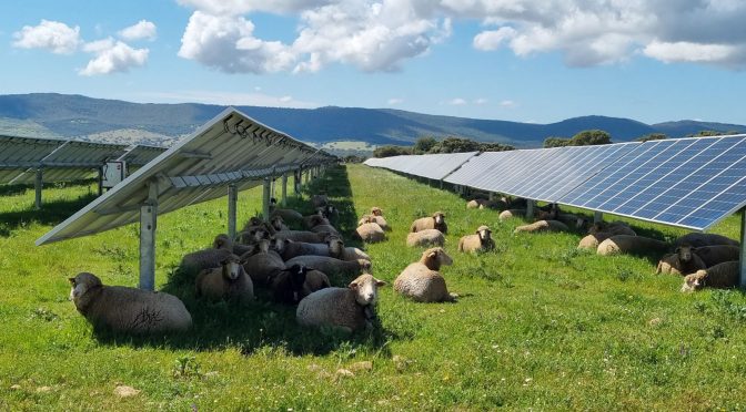 Agricultural decree: photovoltaic projects at risk in Italy