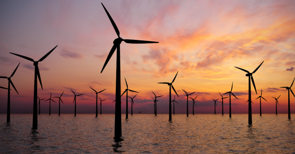 Finland to auction five offshore wind energy sites