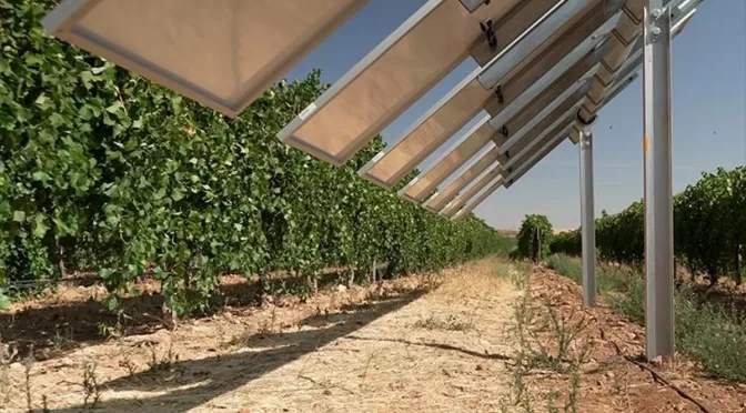 The Spanish Photovoltaic Union defends the integration of organic agriculture and photovoltaics