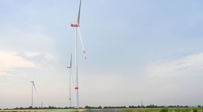 Tender awarded for wind farm in Rhineland-Palatinate