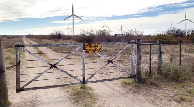 New wind power project in La Pampa with 100 MW: 229 meter high wind turbines